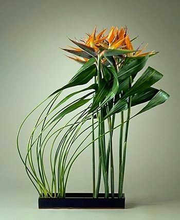 专业插花培训学校