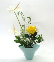 6ddc525260961f1a02c1645a0ae7cbb6193071dc6f8f-qFcbKP_fw658.jpg