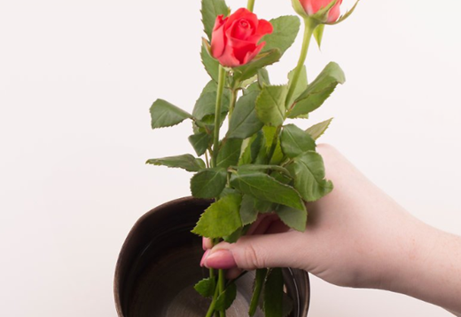 零基础插花花艺培训使用温水如何让鲜花持续更长时间方法